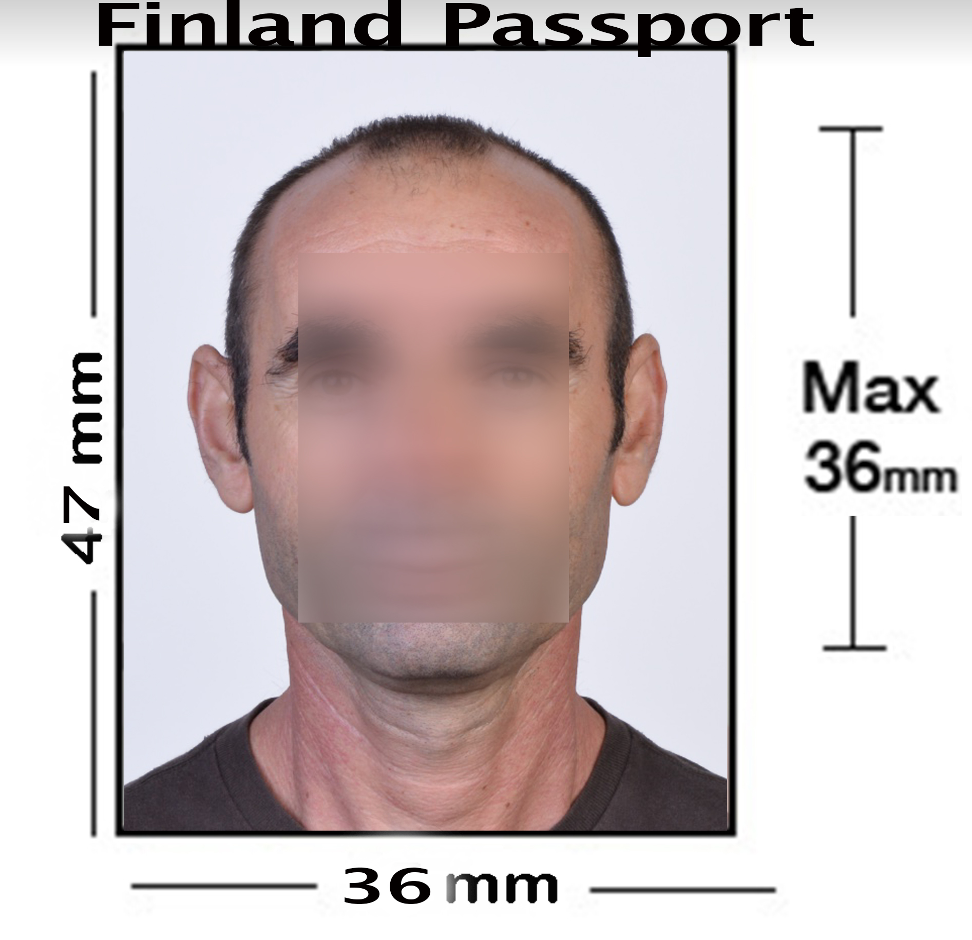 Finland Passport