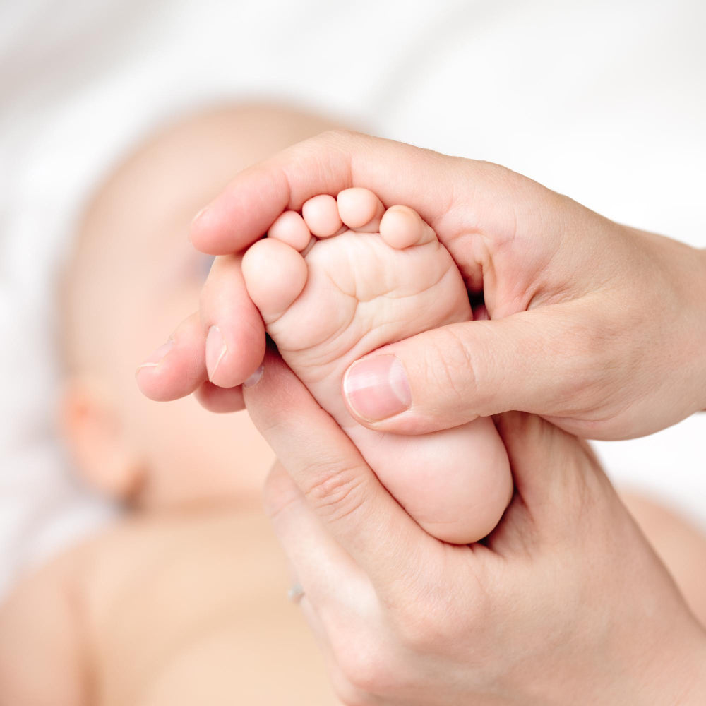 Baby & Family Portrait Session