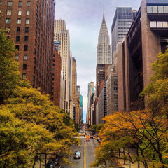 New York Landmark Photoshoot
